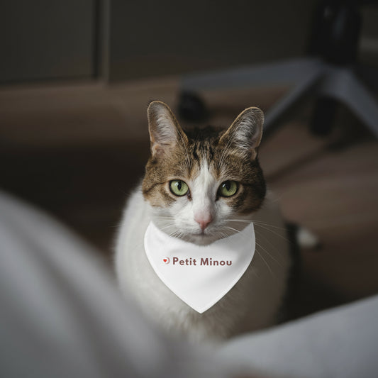 Collier Bandana Petit Minou Je t’adore x My❤️EVJF